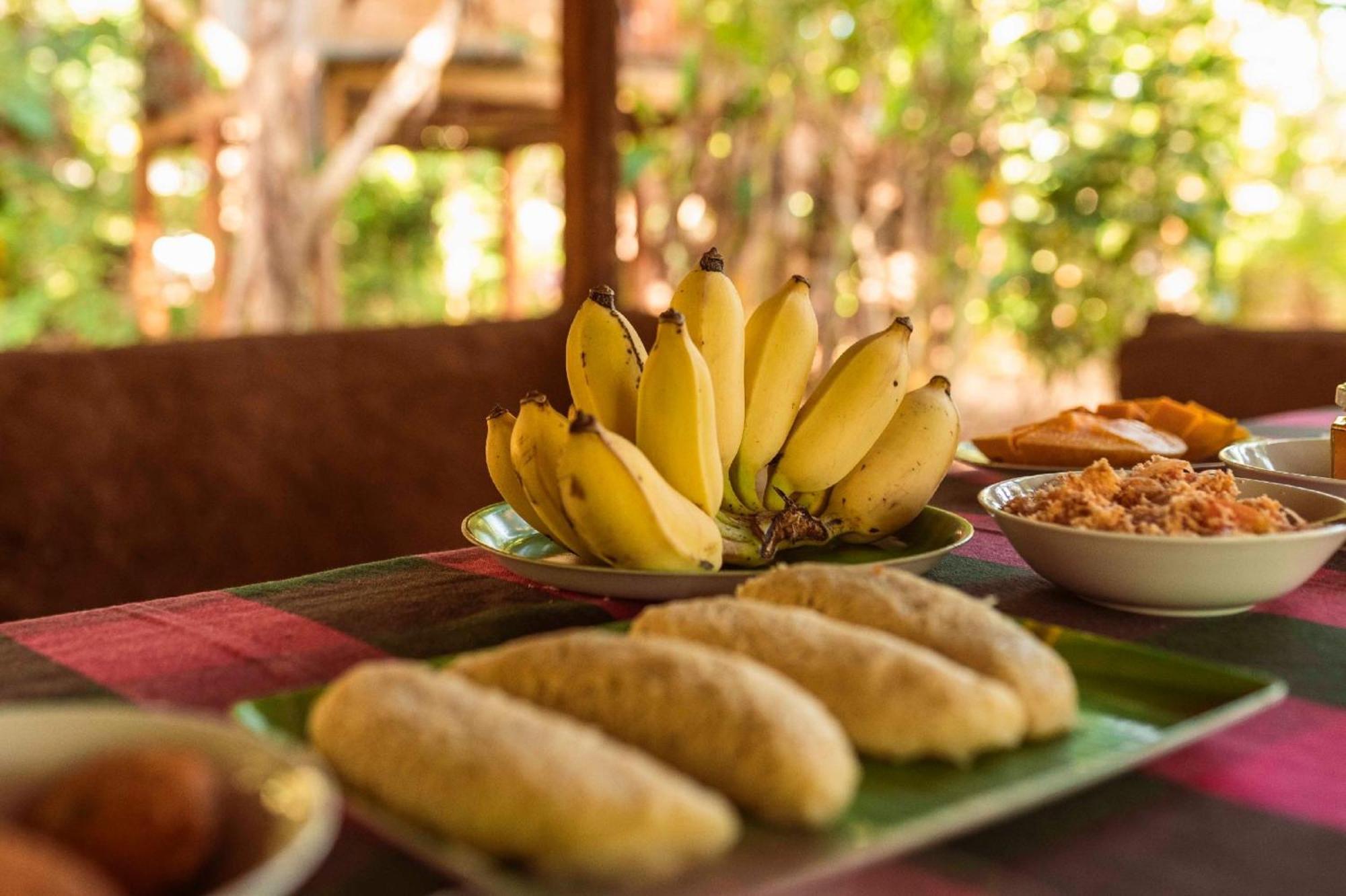 Sigiri Aliya Tree House Hotel Sigiriya Bagian luar foto