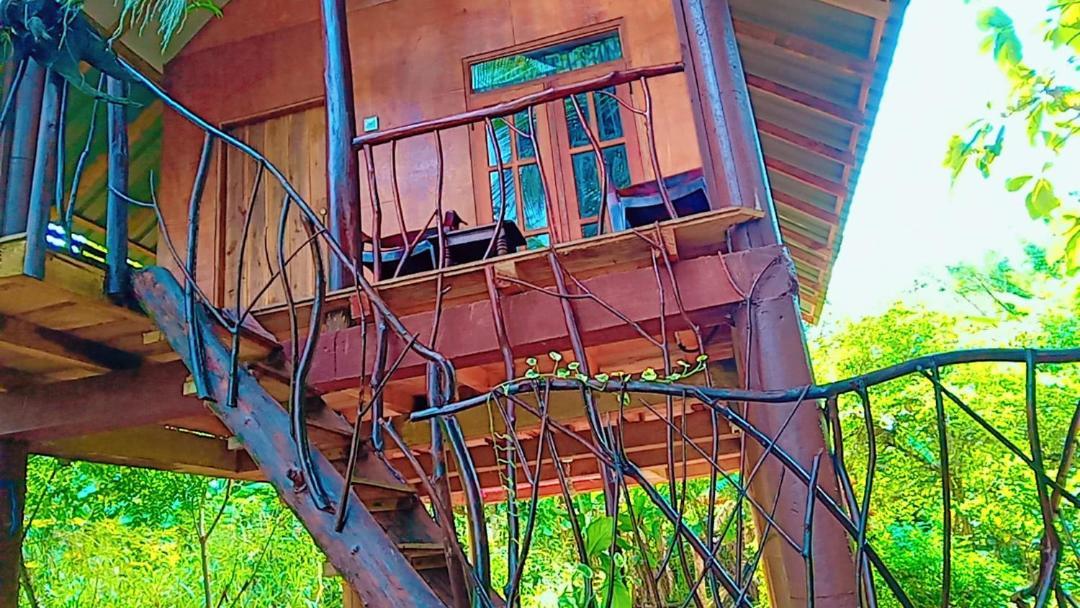 Sigiri Aliya Tree House Hotel Sigiriya Bagian luar foto
