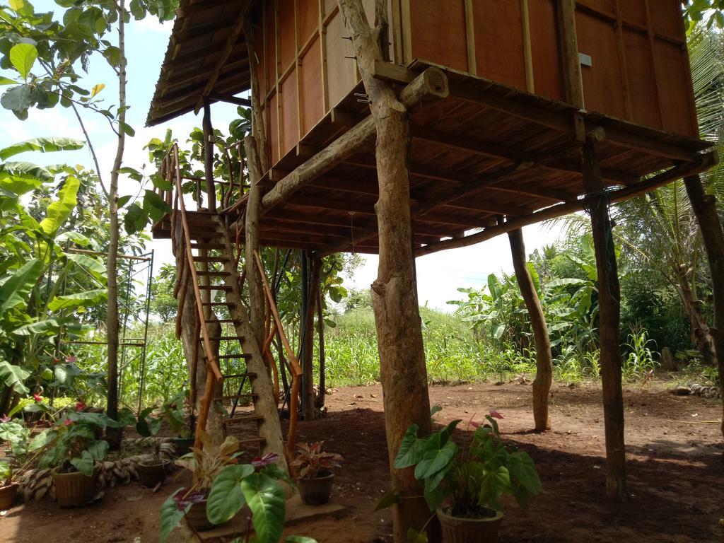 Sigiri Aliya Tree House Hotel Sigiriya Bagian luar foto