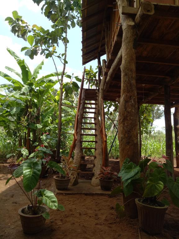 Sigiri Aliya Tree House Hotel Sigiriya Bagian luar foto