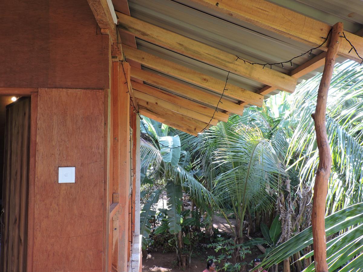 Sigiri Aliya Tree House Hotel Sigiriya Bagian luar foto