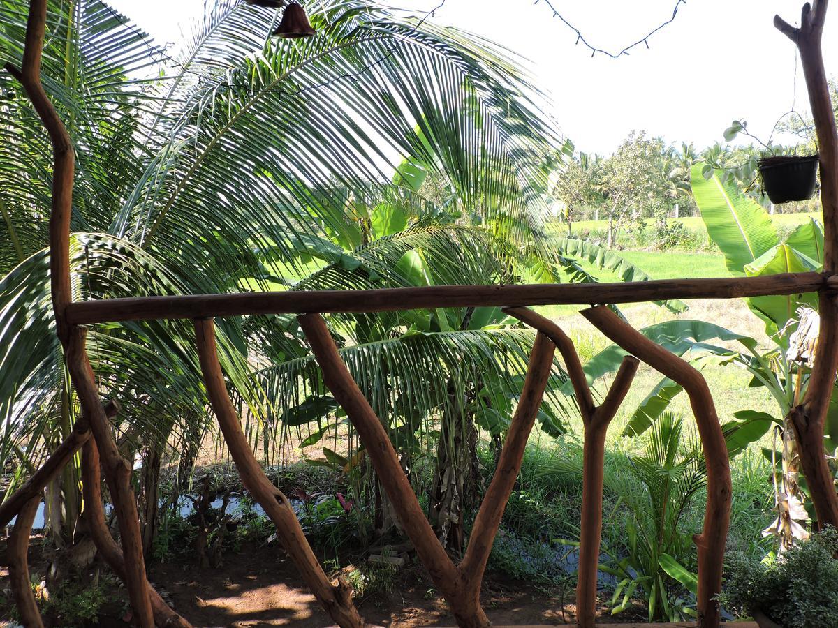 Sigiri Aliya Tree House Hotel Sigiriya Bagian luar foto