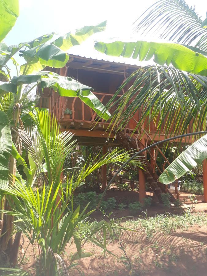 Sigiri Aliya Tree House Hotel Sigiriya Bagian luar foto