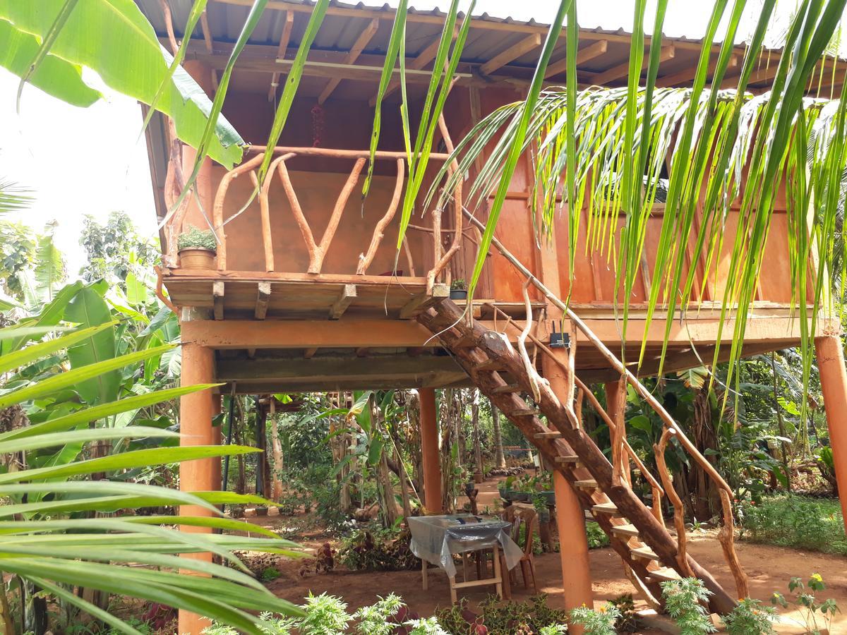 Sigiri Aliya Tree House Hotel Sigiriya Bagian luar foto