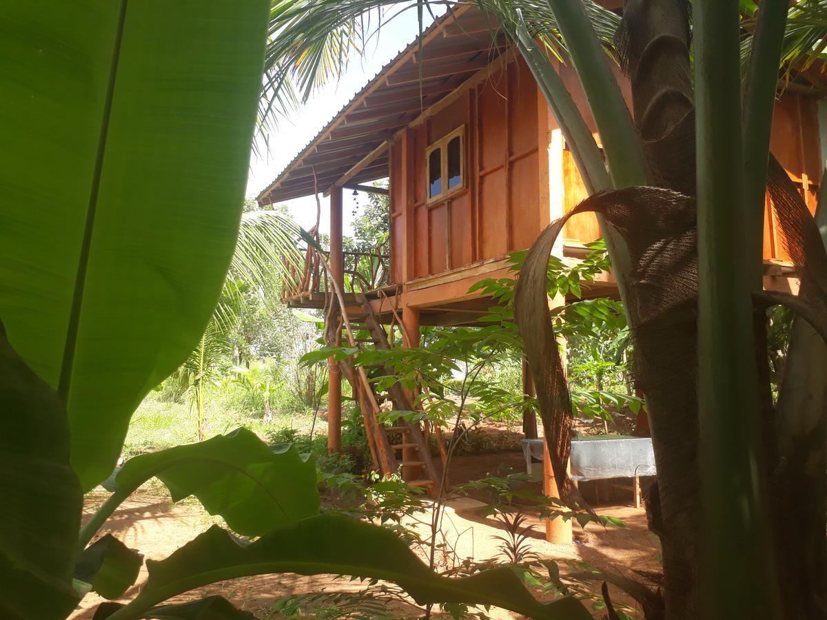 Sigiri Aliya Tree House Hotel Sigiriya Bagian luar foto