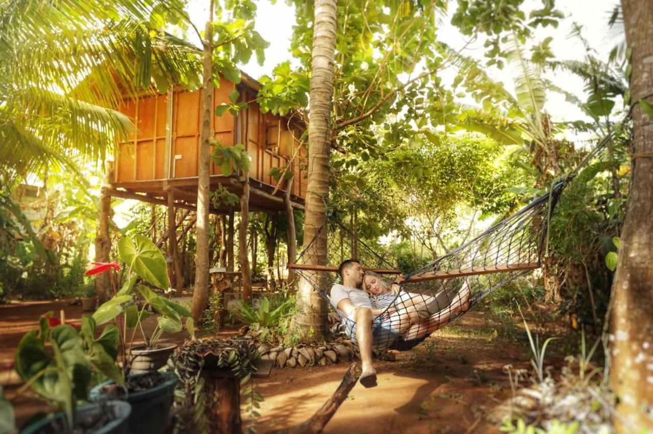 Sigiri Aliya Tree House Hotel Sigiriya Bagian luar foto