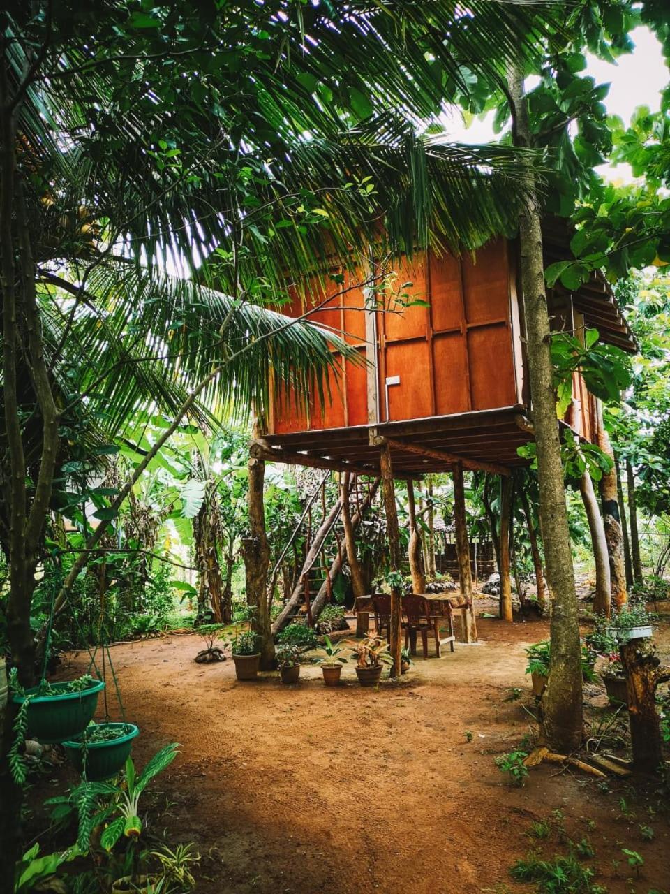 Sigiri Aliya Tree House Hotel Sigiriya Bagian luar foto